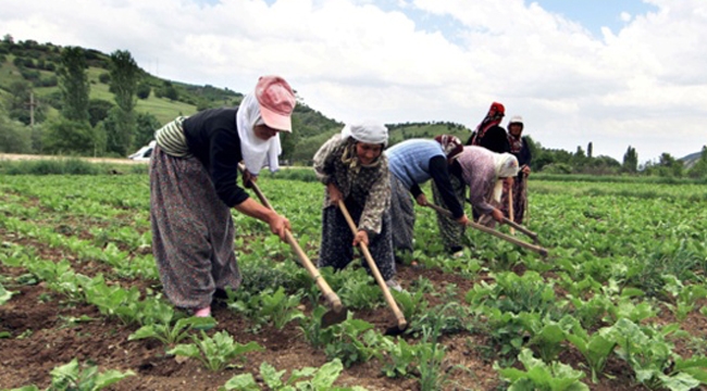 Bayraktar "Tarım da Çalışan Kadınların Yüzde 95'i Sosyal Güvenlik Sistemine Kayıtlı Değil" 