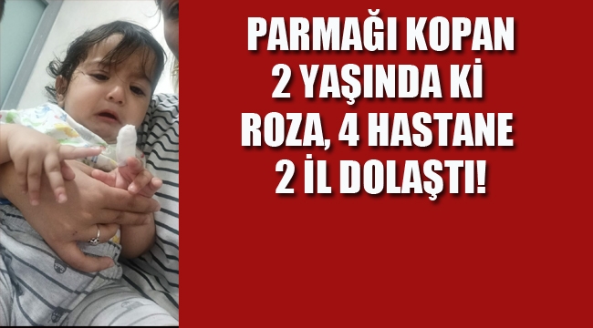 Silopi'de Parmağı Kopan 2 Yaşında ki Roza, 4 Hastane 2 İl Dolaştı!