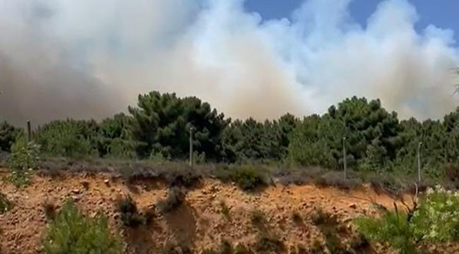 Pendik Aydos Ormanı'nda Yangın