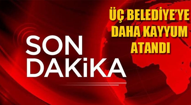 Üç Belediye'ye Daha "Kayyum" Atandı