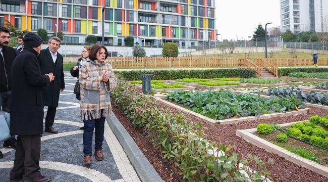 Maltepe Belediyesi "Çocuk Tarım Parkı"nı Hizmete Açılmaya Hazırlanıyor